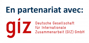 In-Partnership-with-GIZ-3-300x147 In-Partnership-with-GIZ-3-300x147